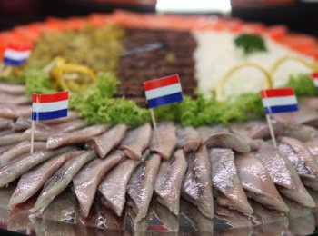 Haringschaal